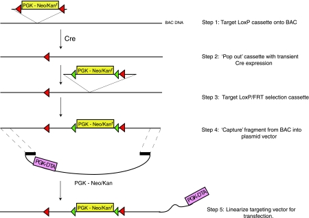 Fig. 3.