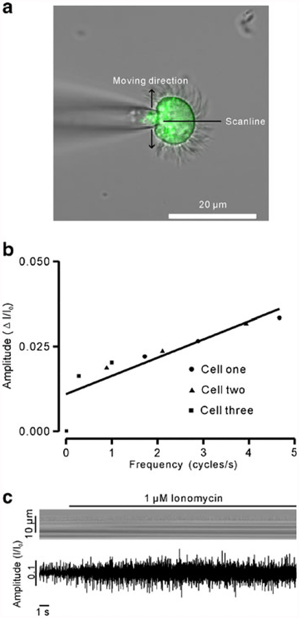 Fig. 4