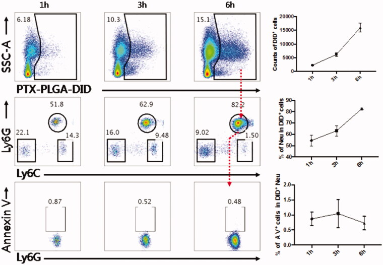 Figure 3.