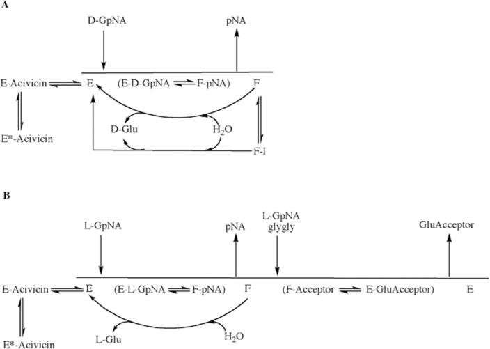 Fig. 8