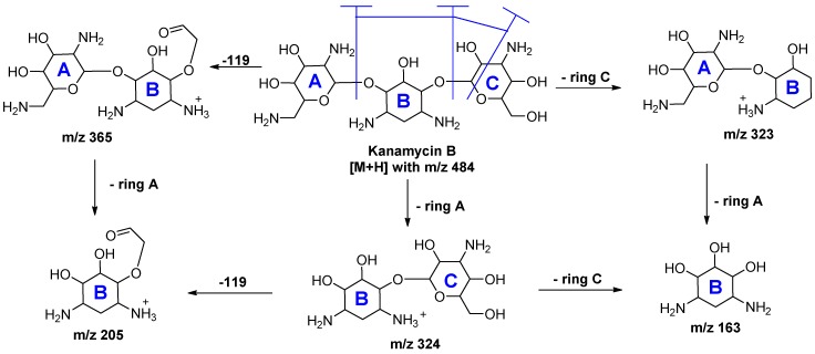 Figure 11