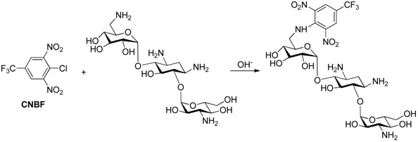 graphic file with name molecules-24-01902-i001.jpg