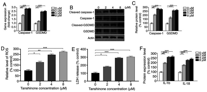 Figure 2.