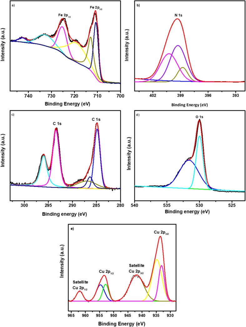 Fig. 4