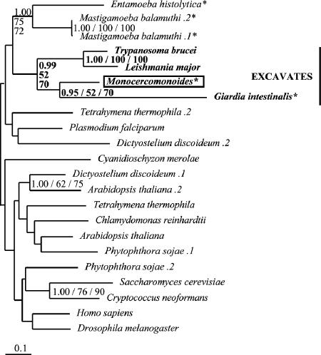 FIG. 6.