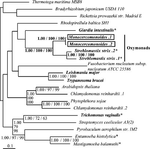 FIG. 7.