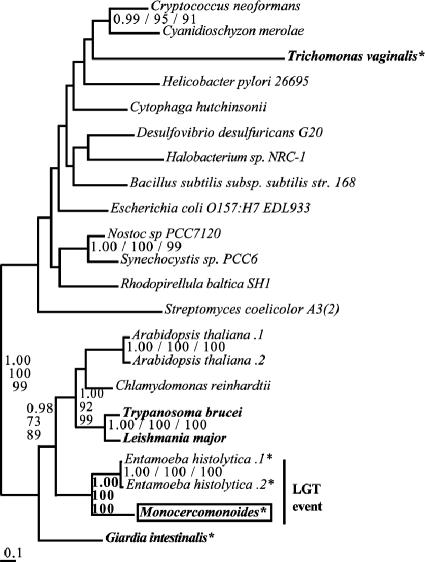 FIG. 5.