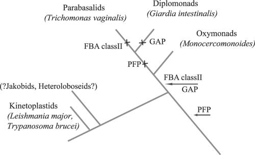 FIG. 8.