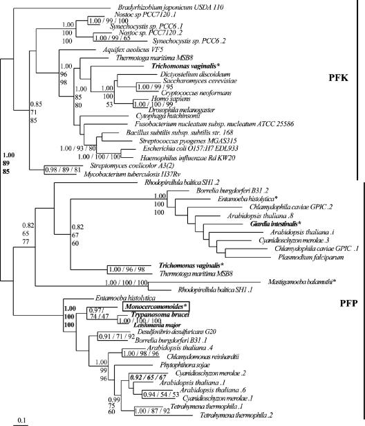 FIG. 3.