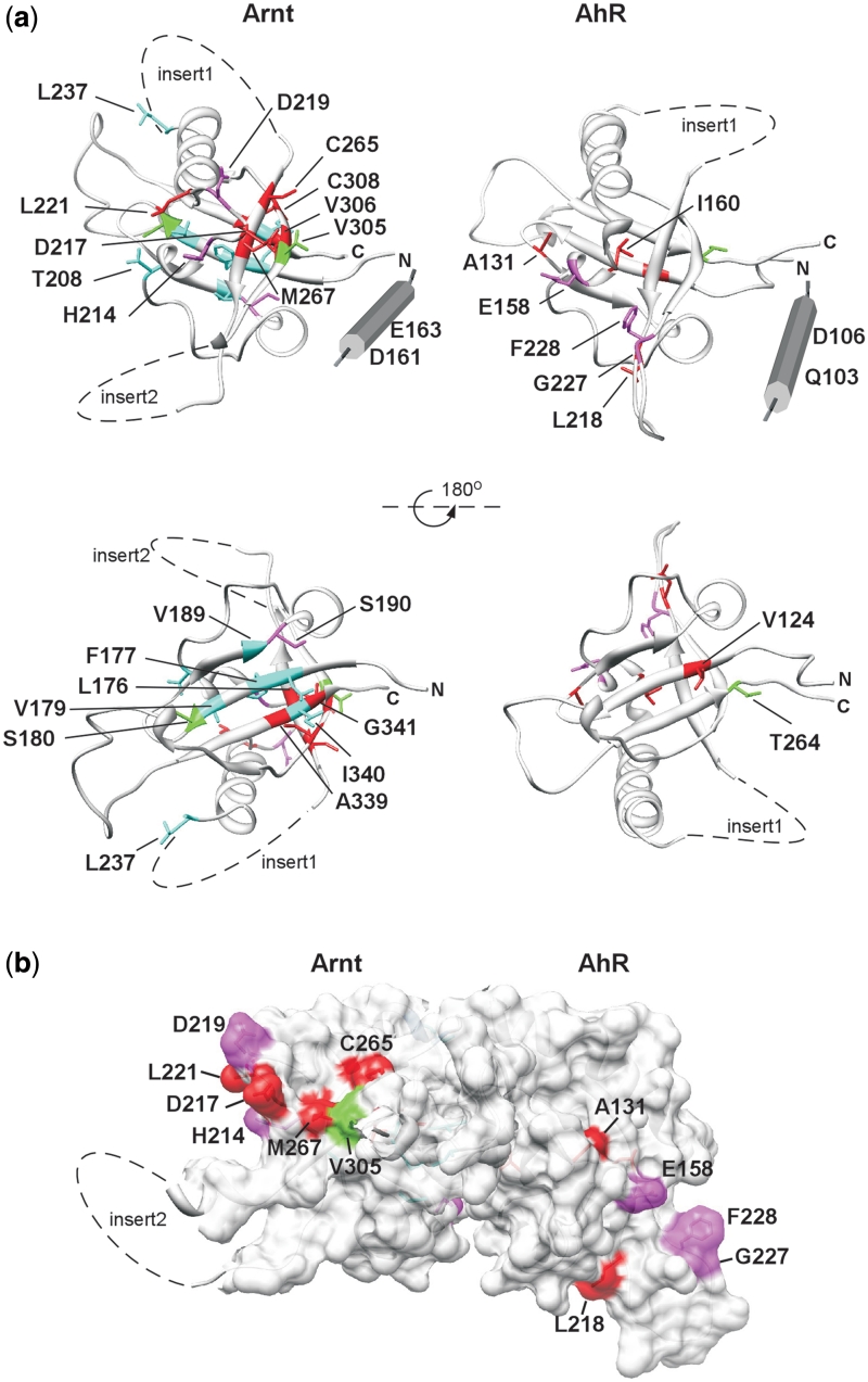 Figure 6.