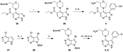 Scheme 1