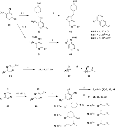 Scheme 4