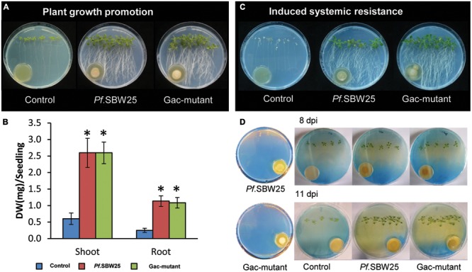 FIGURE 3