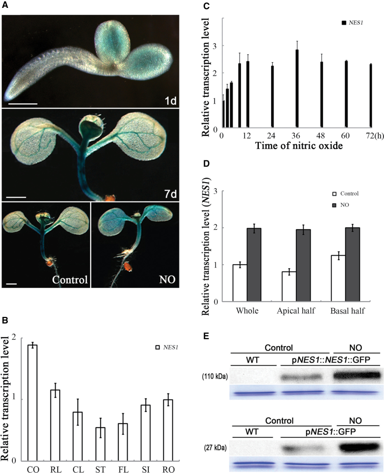 Fig. 2.