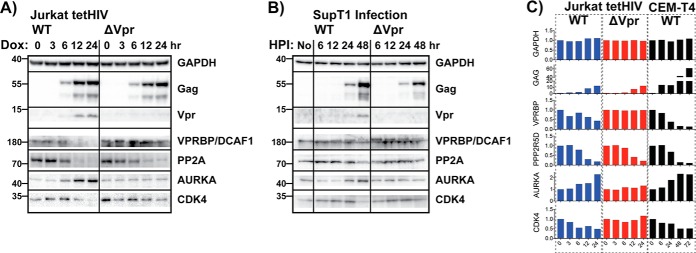 Fig. 5.