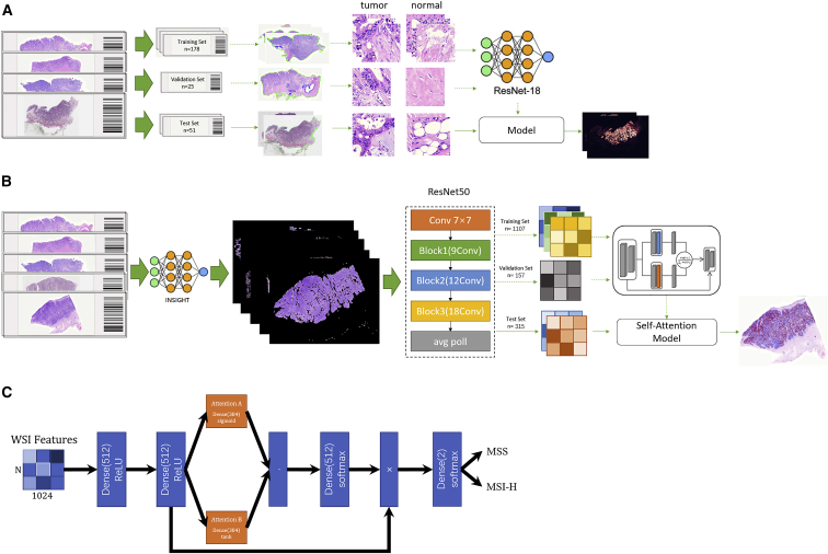 Figure 2