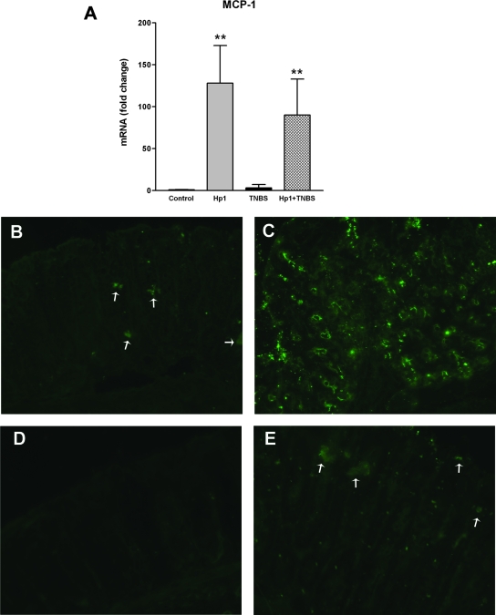 FIG. 6.