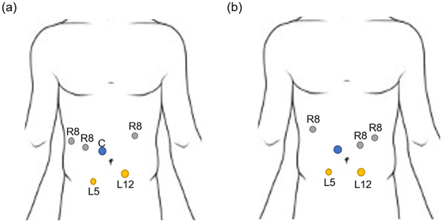 Fig. 13.