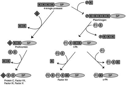 Fig. 5.