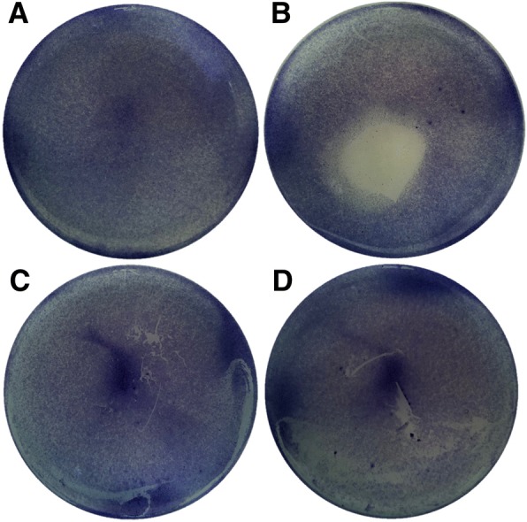 Fig. 7