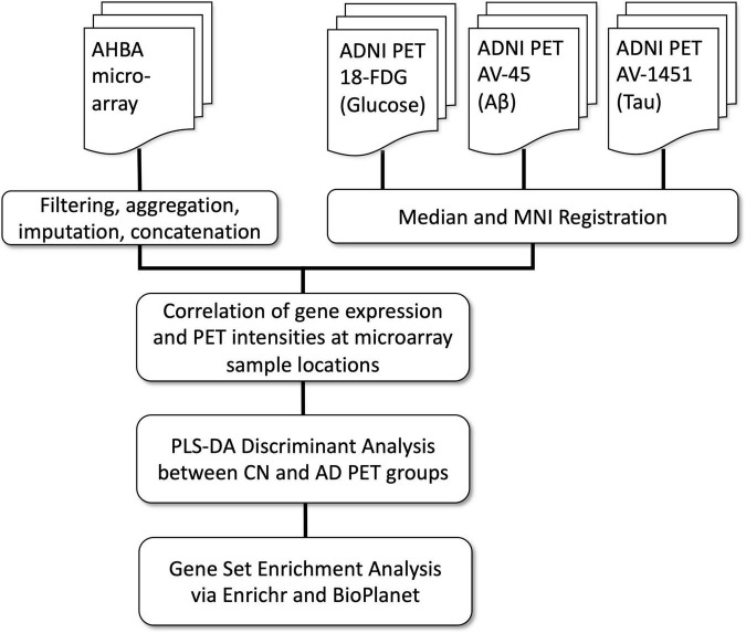 FIGURE 1