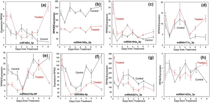 FIGURE 11