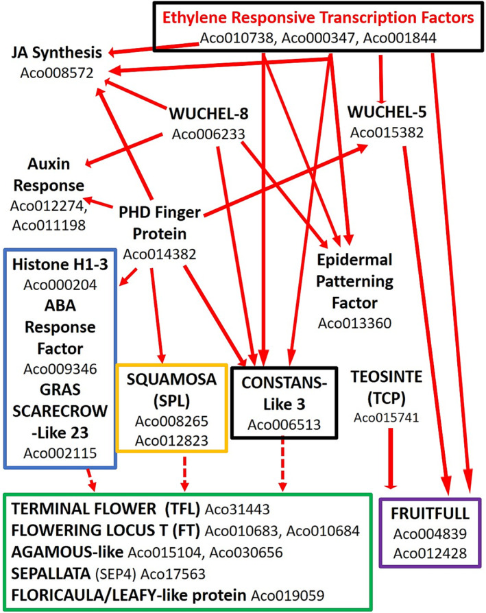 FIGURE 12