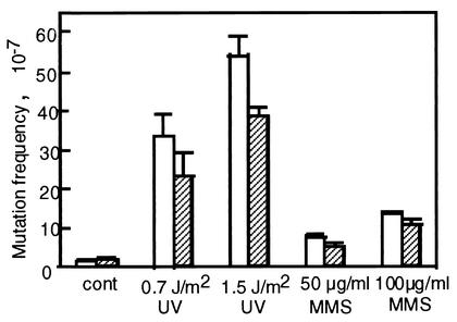 FIG.6.