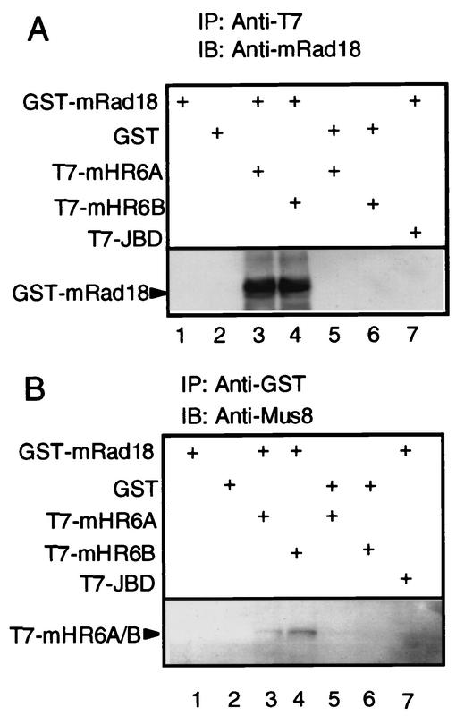 FIG. 5.