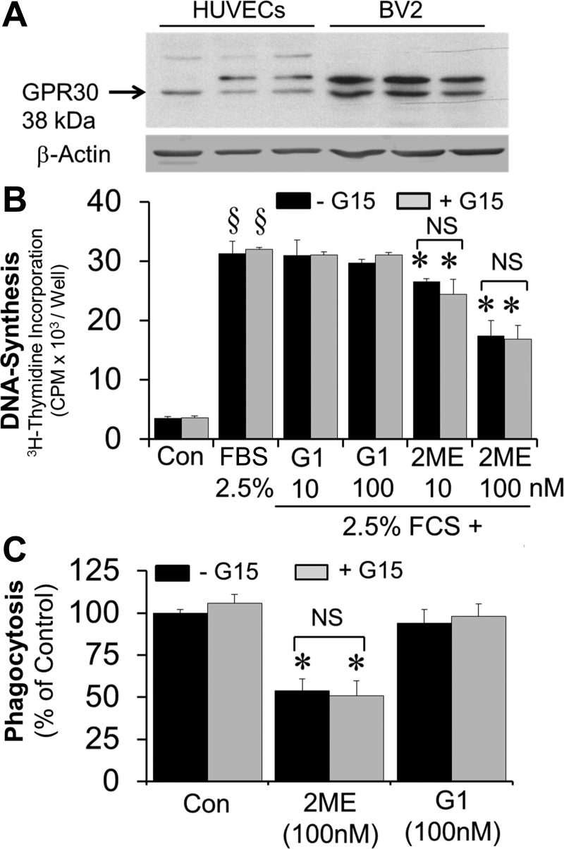 Fig. 10.