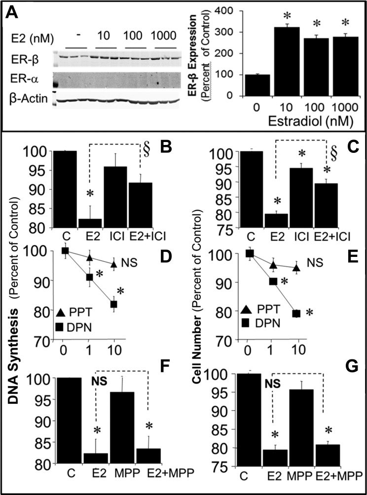 Fig. 9.