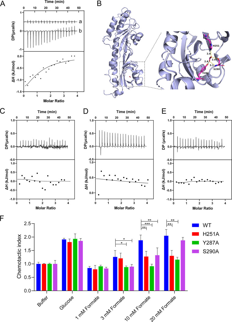 FIG 3