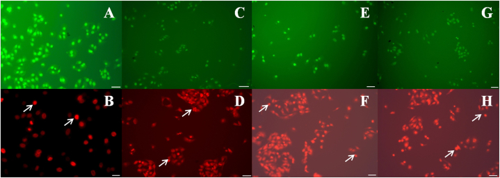 Fig. 10