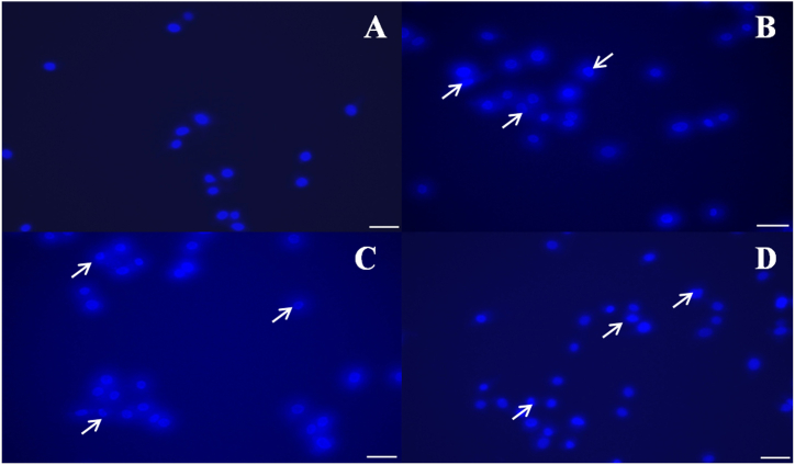 Fig. 9