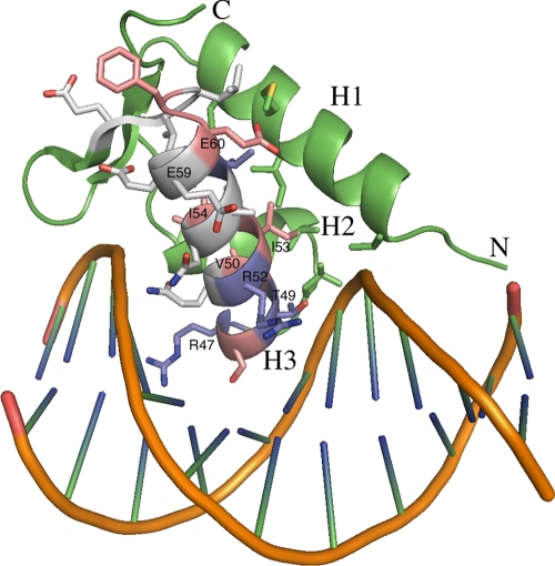 FIG. 8.