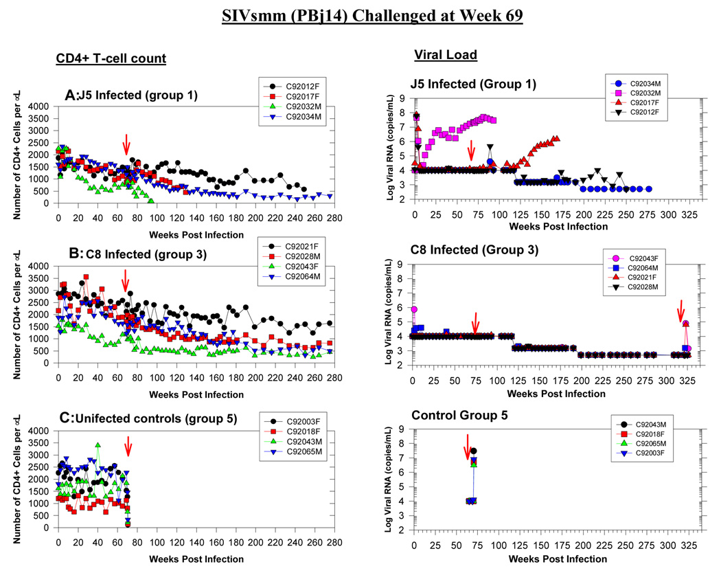 graphic file with name nihms57974f6.jpg