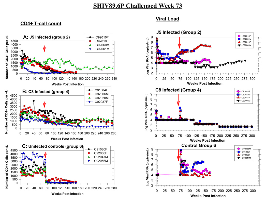 graphic file with name nihms57974f7.jpg