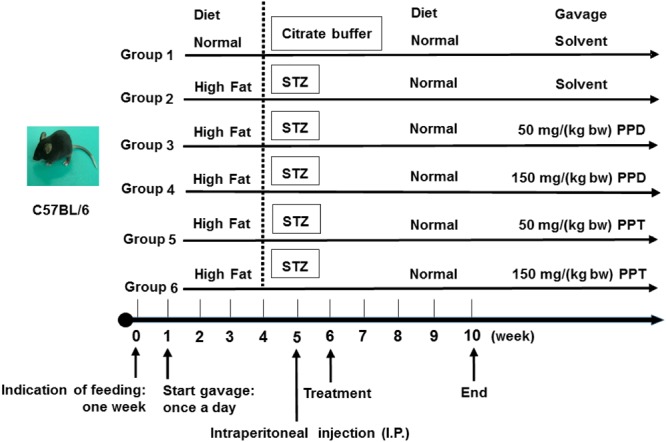 FIGURE 1