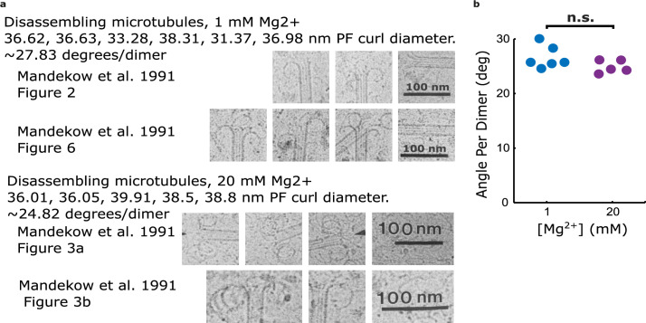 Figure 4—figure supplement 2.