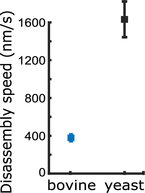 Figure 4—figure supplement 4.