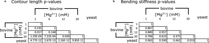 Figure 4—figure supplement 5.