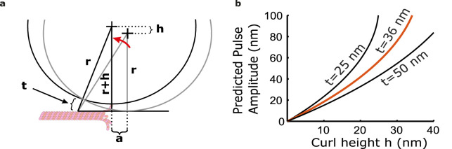 Figure 1—figure supplement 2.