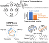 Graphical Abstract
