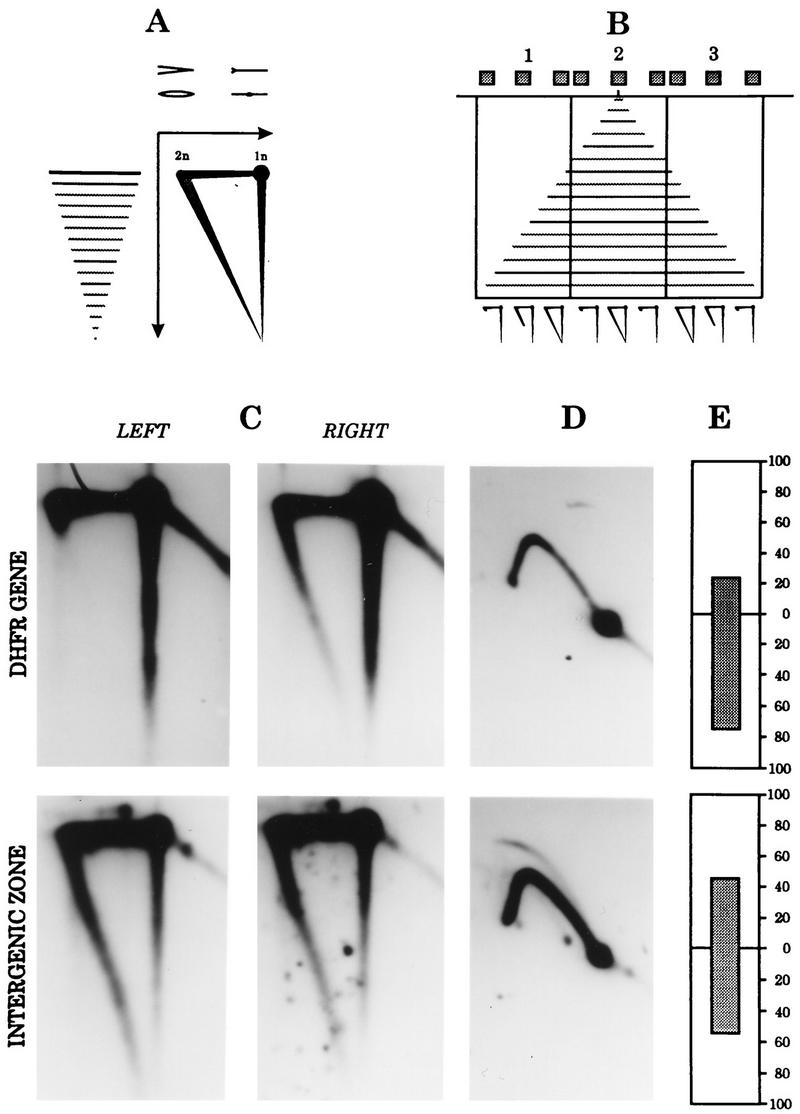 FIG. 10