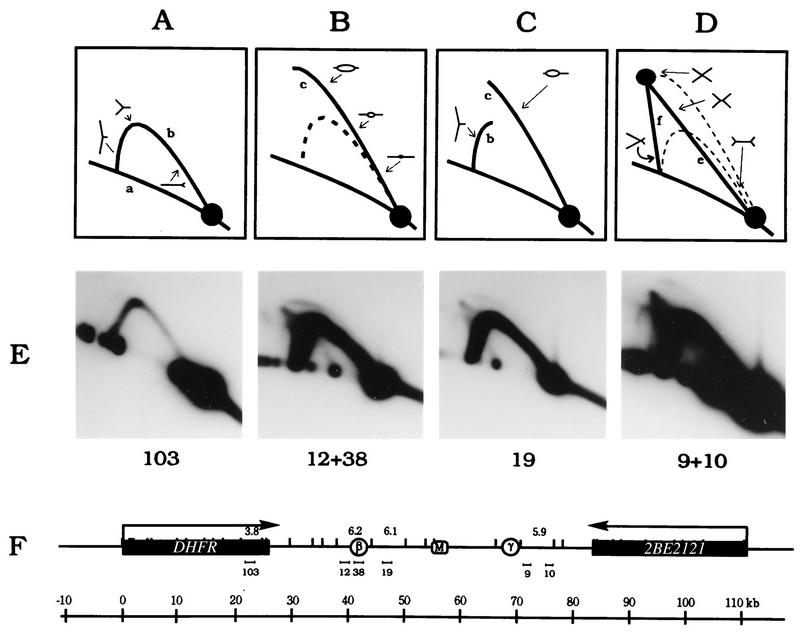 FIG. 9