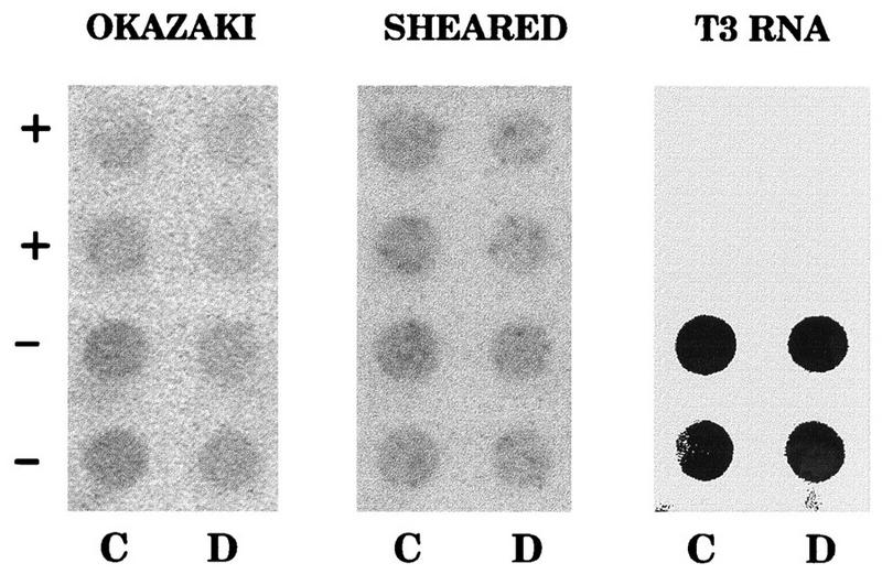 FIG. 6