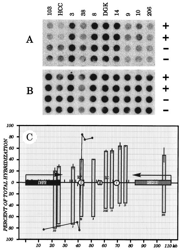 FIG. 5