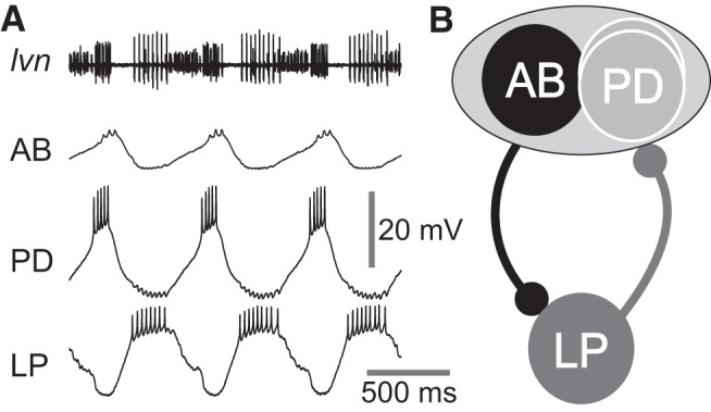 Figure 1.