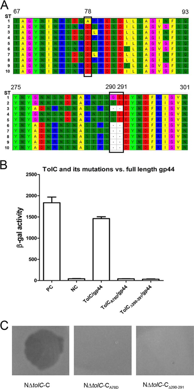 Figure 6.