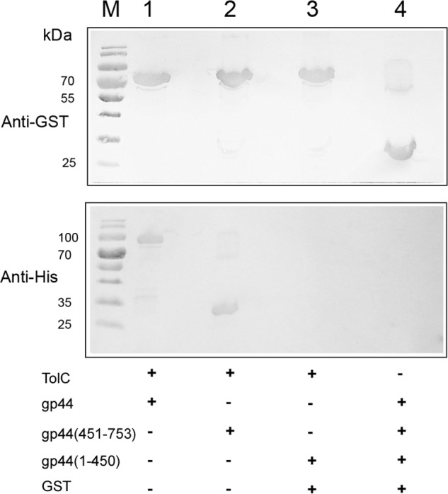 Figure 5.